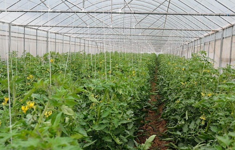 ���ܜ��Ҵ���